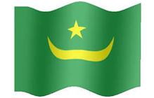 Flag 8